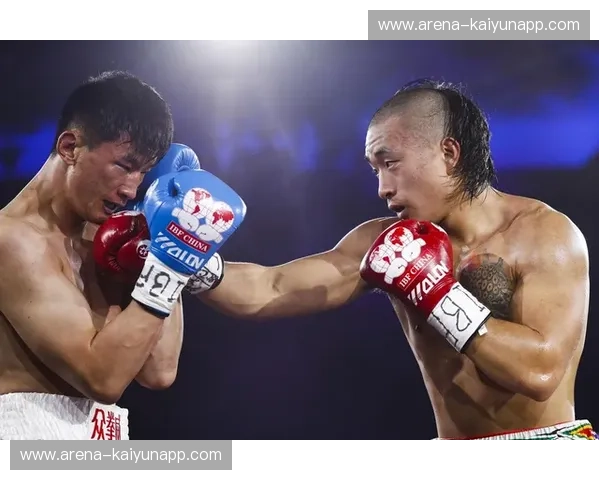 拳击世界冠军赛数据揭秘：震撼背后的硬核统计与荣耀时刻